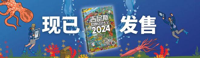 最多的宝可梦卡片收藏纪录pg模拟器兄弟俩创造全球(图3)